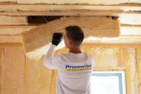 Best Eco-Friendly or Green Insulation Solutions in Hyde Rk, PA