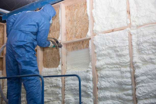 Best Insulation Air Sealing in Hyde Rk, PA